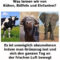 Was Lernen Wir Von Kühen, Büffeln Und Elefanten?  Lustige Bilder bestimmt für Blödes Kuh Sprüche