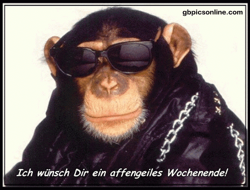 Weekend Gif, Happy Weekend, Good Morning My Friend, Good Morning Quotes ganzes Wochenende Gif Kostenlos