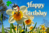 Whatsapp Animierte Gif 60 Geburtstag : Geburtstag Gb Pics, Gb Bilder bei 60 Geburtstag Bilder Kostenlos Whatsapp