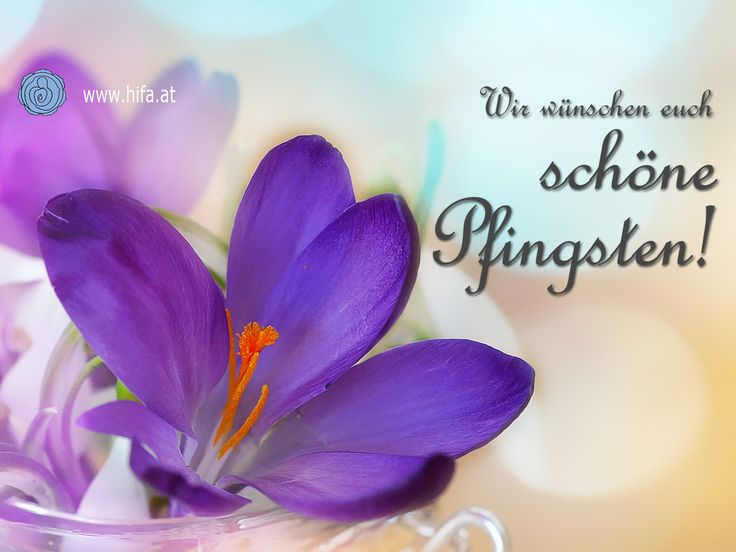 Wir Wünschen Euch Schöne Pfingsten! .Hifa.at #Pfingsten #Pfingstfest bei Frohes Pfingstfest Bilder