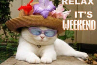 Wochenende Lustige Bilder Kostenlos Bilder Und Sprüche bei Wochenende Lustige Bilder Kostenlos Wochenende Lustige Bilder Kostenlos Bilder Und Sprüche bei Wochenende Lustige Bilder Kostenlos