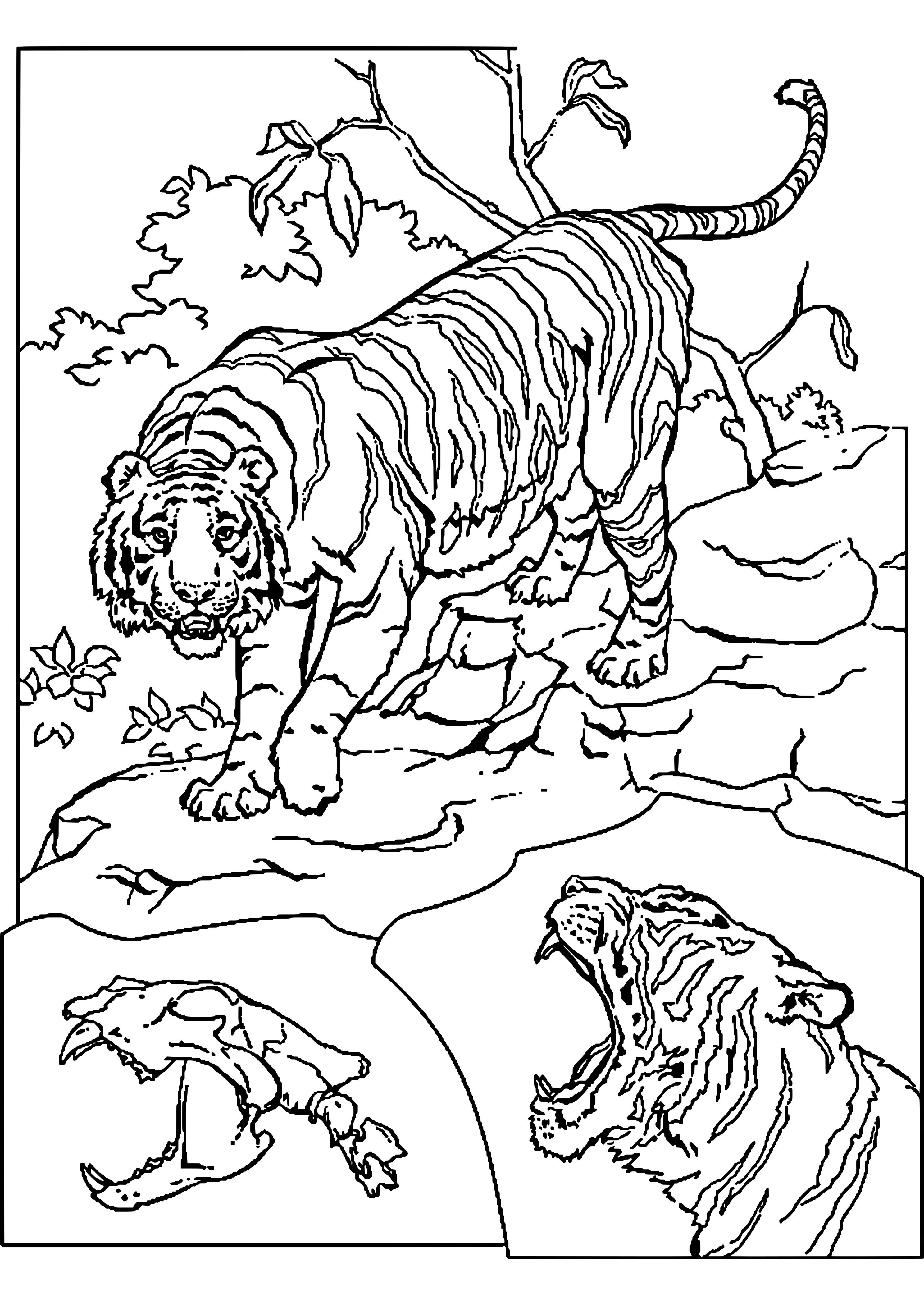 Dschungeltiere Ausmalbild