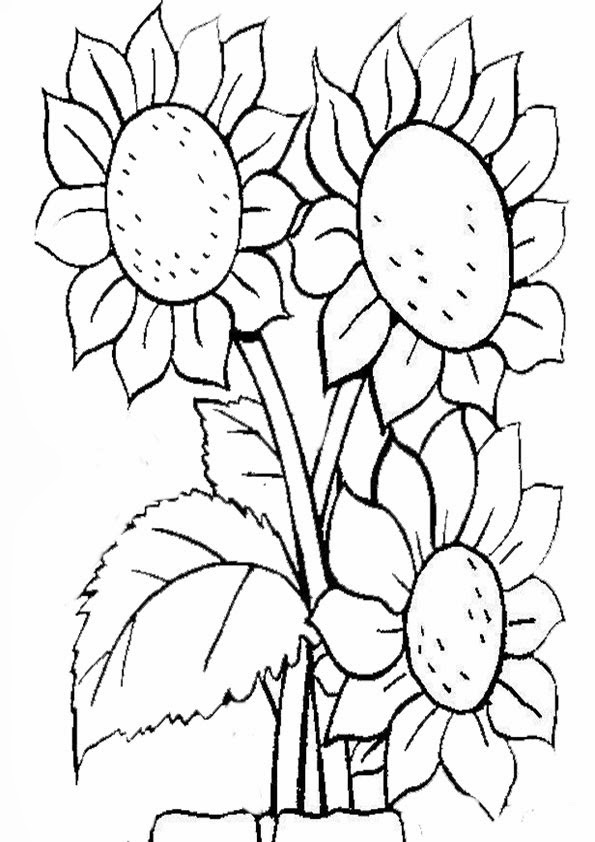 Malvorlagen Gratis : MALVORLAGEN KOSTENLOS BLUMEN - Simple Coloring Blog