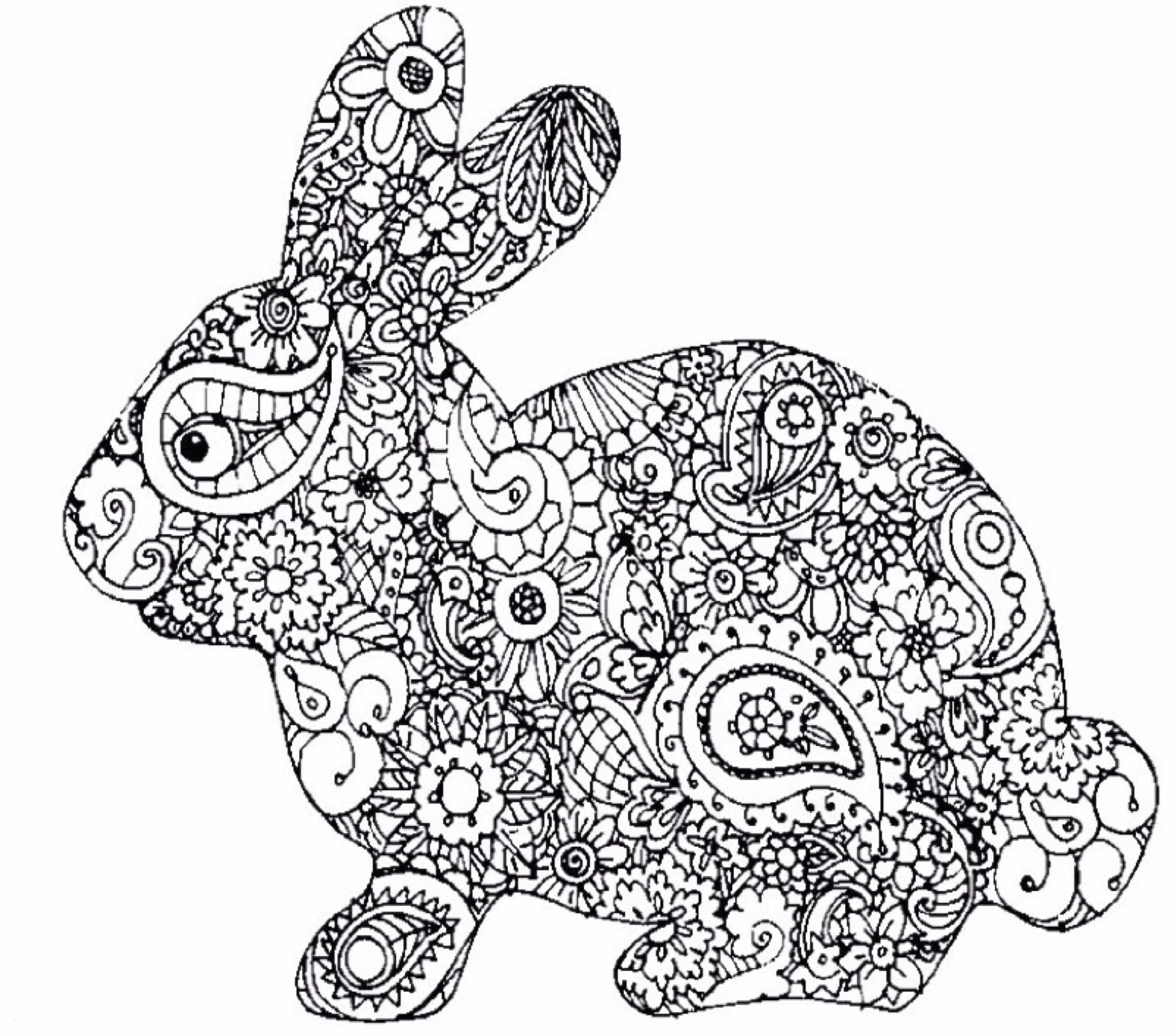 Hasen Zum Ausdrucken / Kaninchen Hase Lineare Zeichnung Eines Hasen