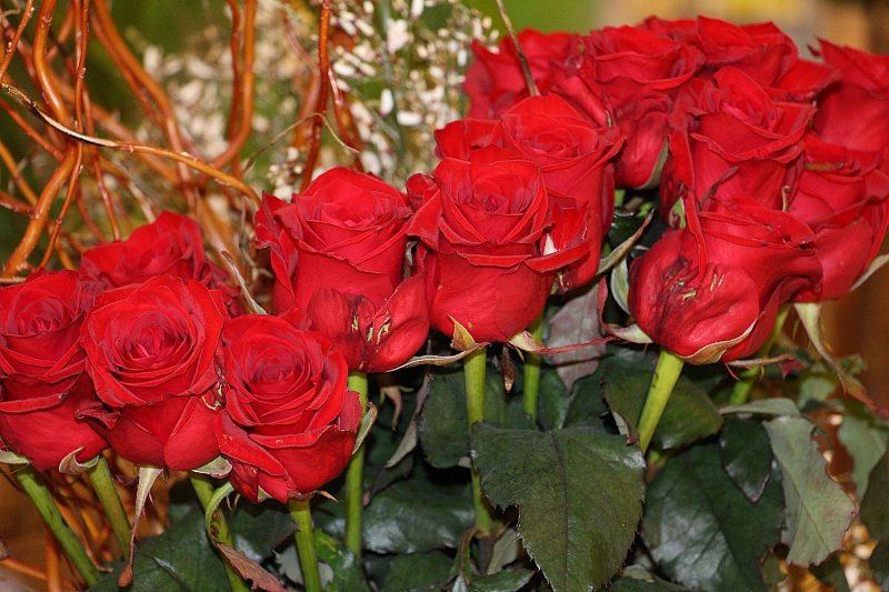 Darum sind Rosen am Valentinstag so teuer | Lokale Nachrichten aus