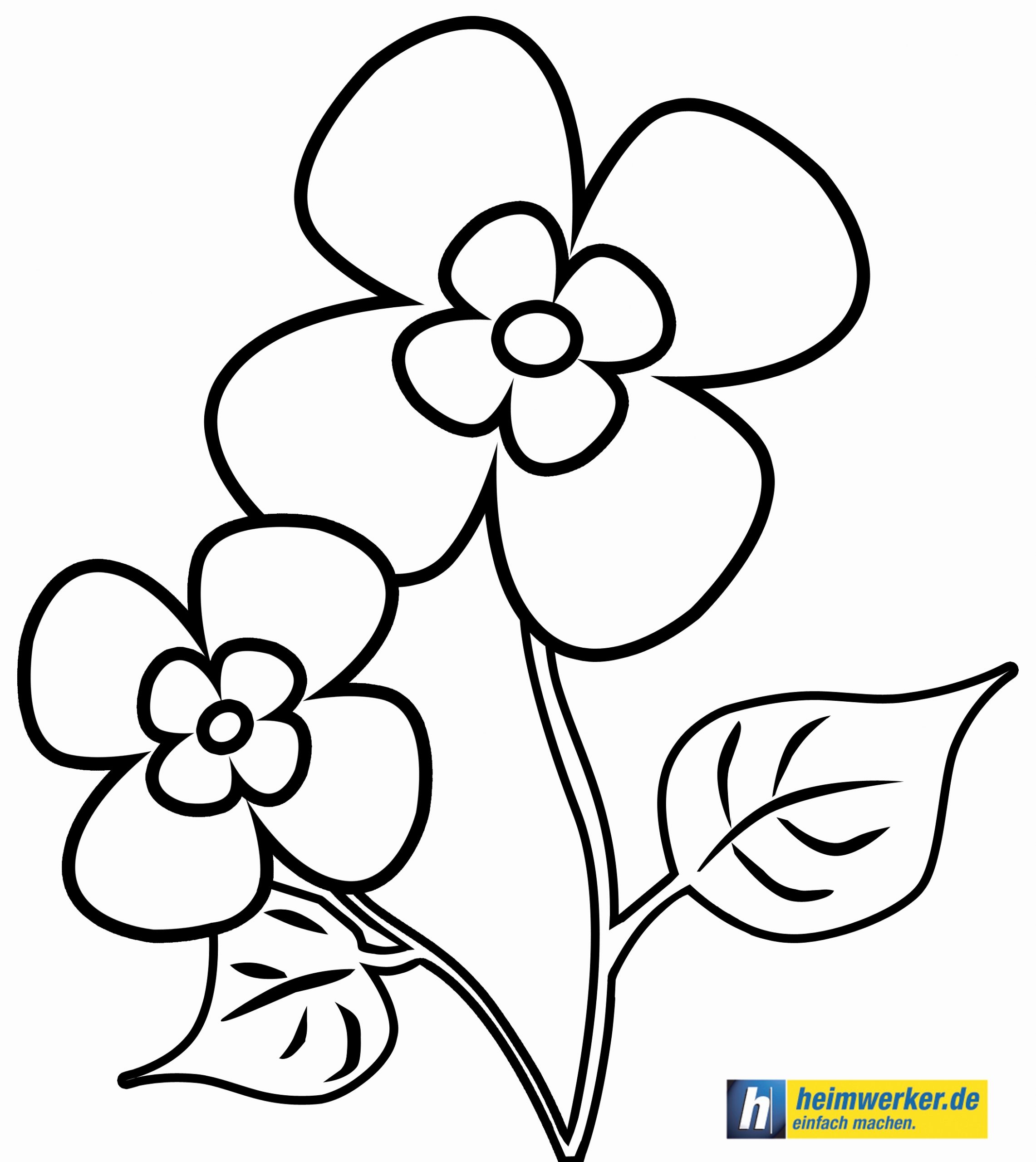 Ausmalbilder Blumen Kostenlos Einzigartig Blumenbilder Zum über