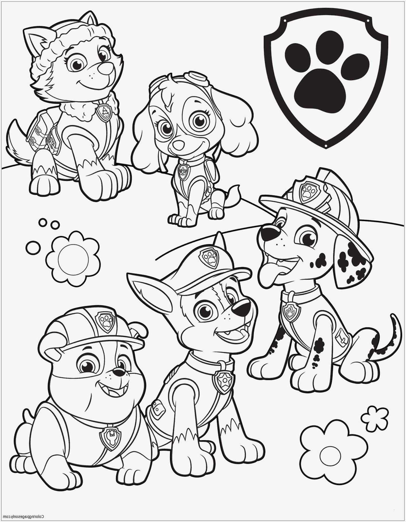 99 Das Beste Von Paw Patrol Ausmalen Das Bild | Kinder Bilder