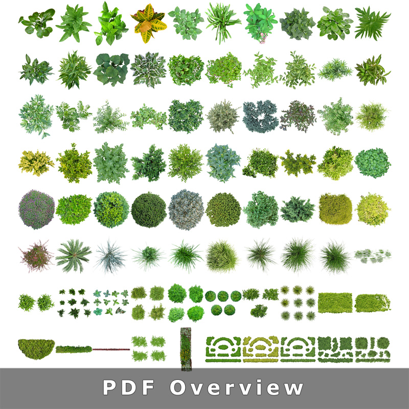 Top View Plants 02 – 2D Plant Entourage for Architecture Illustration .PNG