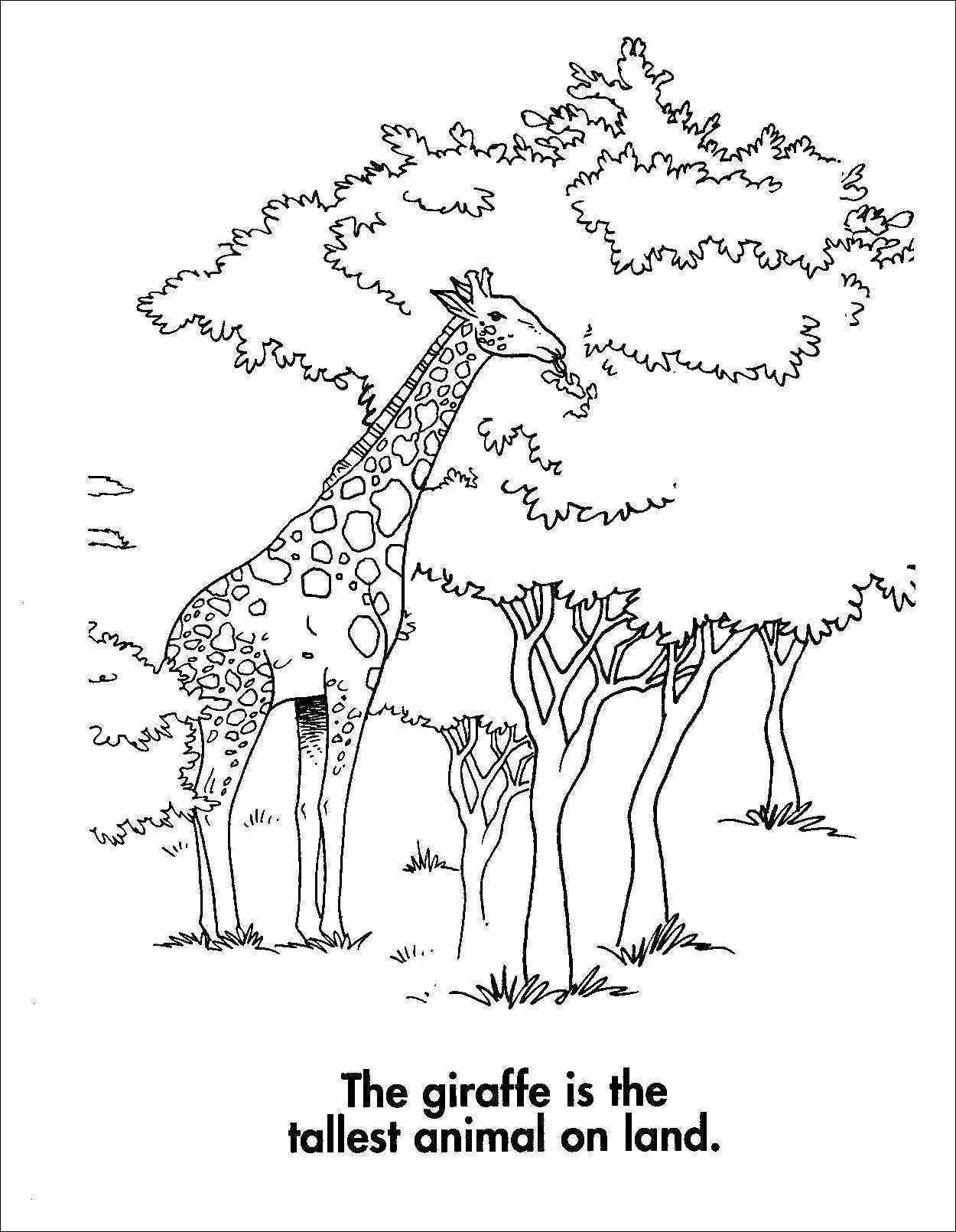 Pippi Langstrumpf Ausmalbilder Einzigartig Pippi Langstrumpf