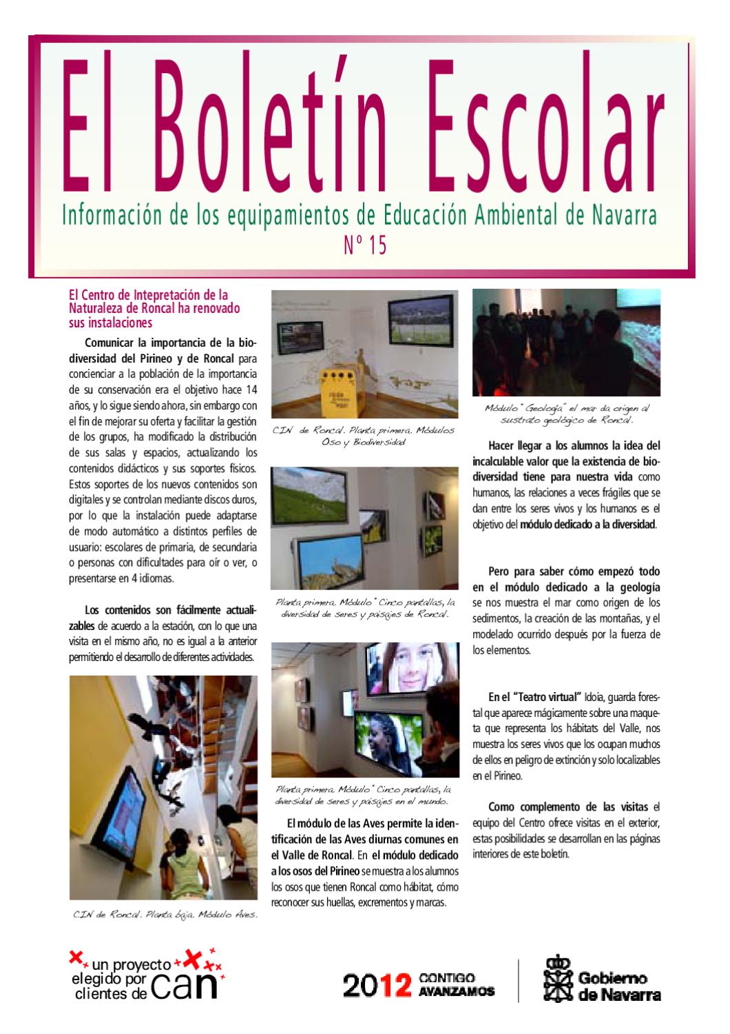 Nº 15 Boletín escolar by medio ambiente navarra - Issuu