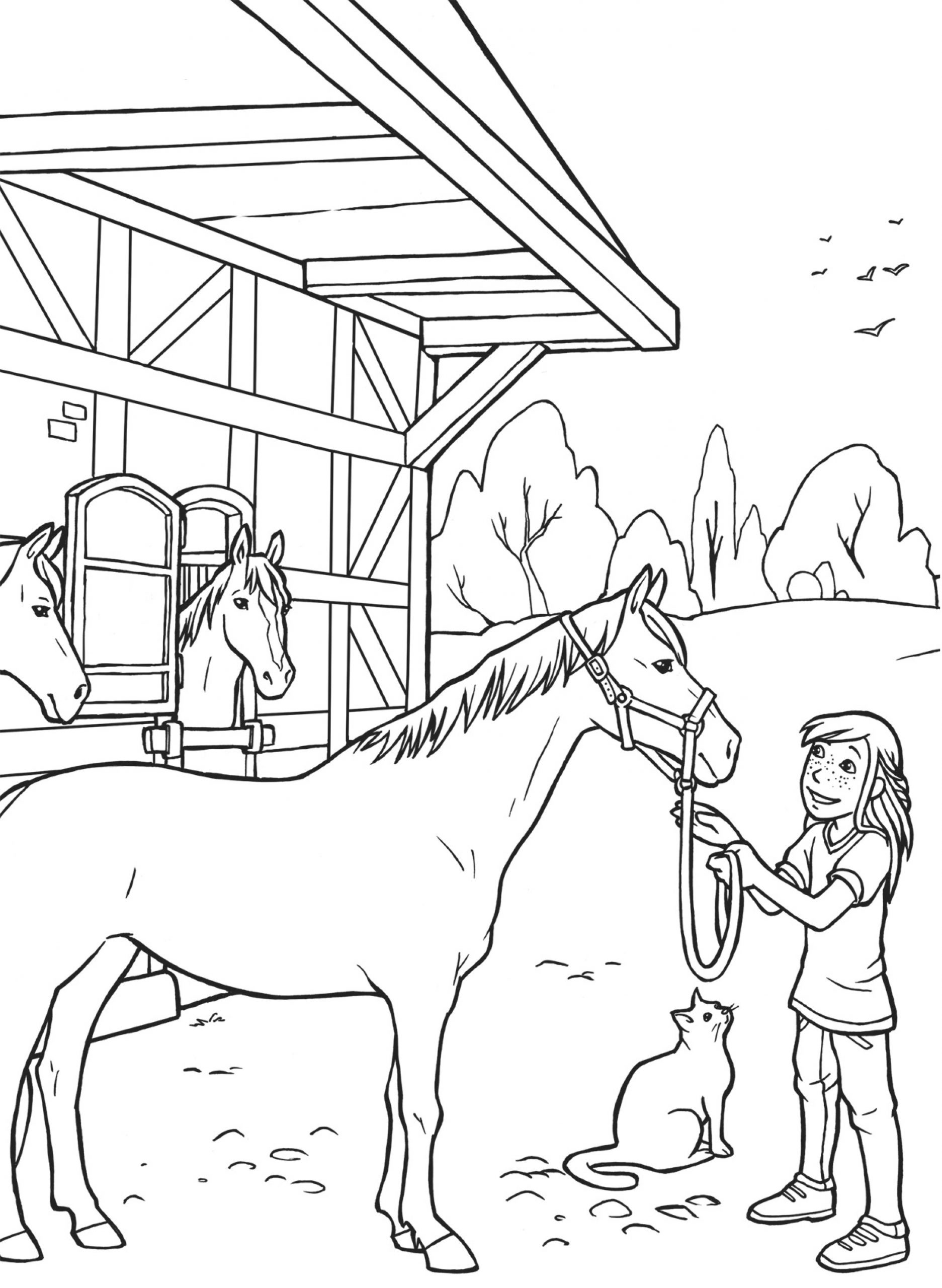 Pferde Bilder Zum Ausmalen Und Ausdrucken Kostenlos - kinderbilder