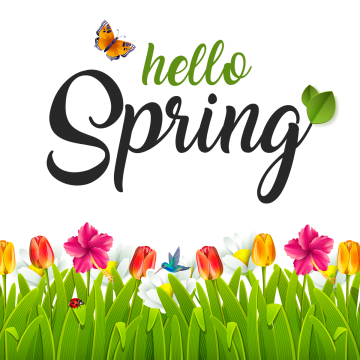 Hello Spring Hd Transparent, Beautiful Hello Spring, Spring, Green PNG