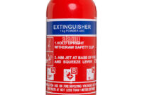 grzegorz braun fire extinguisher
