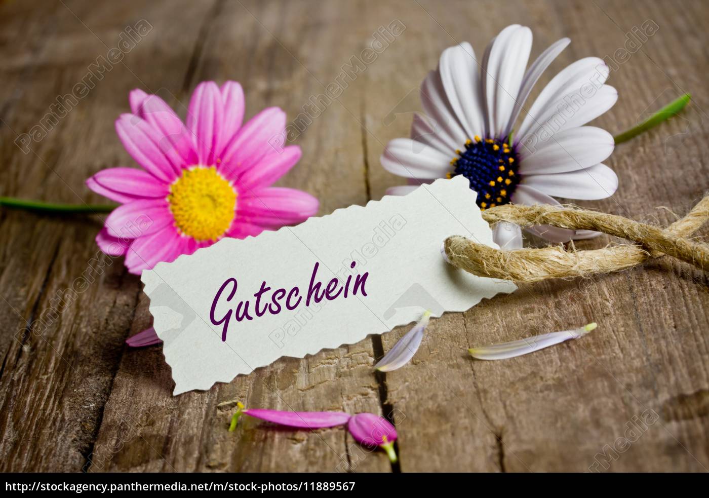 Gutschein mit pinken Blumen - Stockfoto - #11889567 - Bildagentur