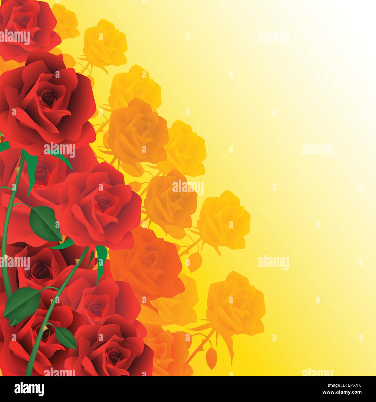 Rote Rosen isoliert auf Hintergründe. Vektor-illustration Stock