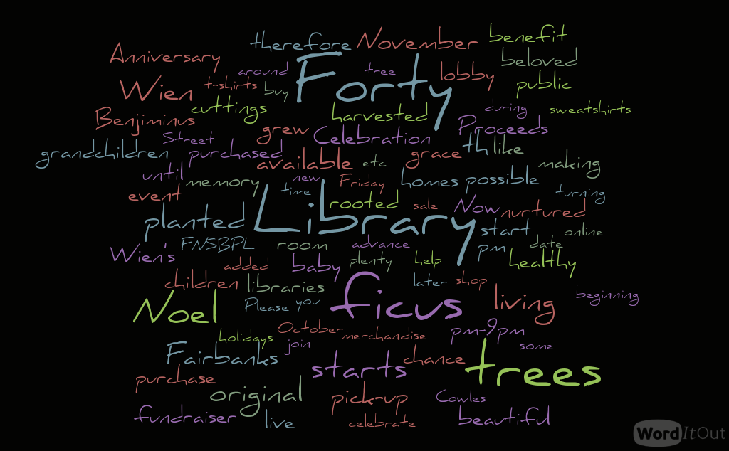 The Noel Wien Library is Turning 40! – The Fairbanks Library Foundation