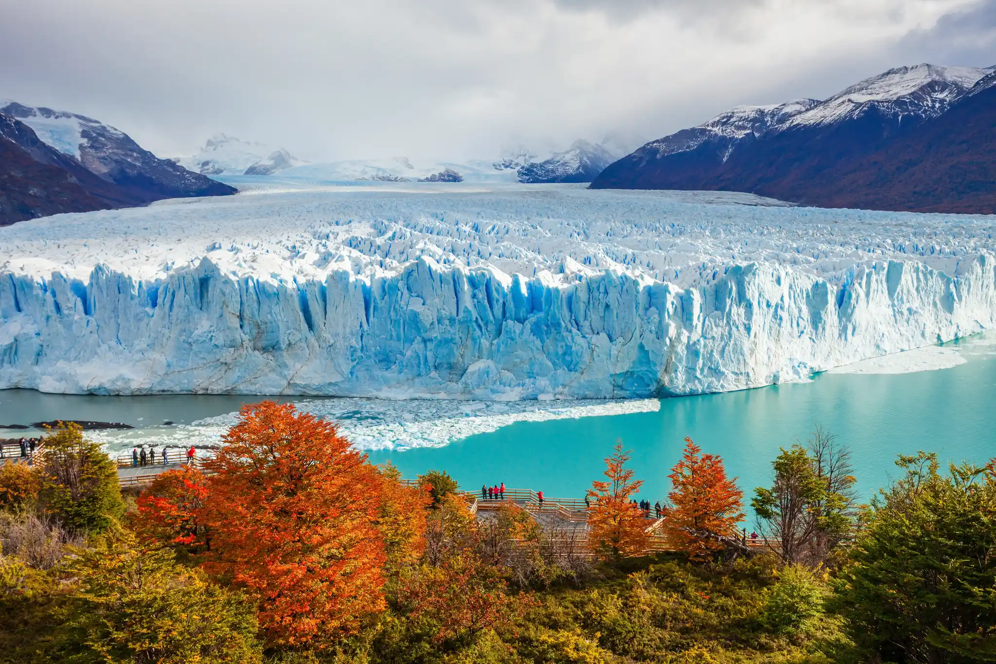 Argentina Short Glaciers & Lakes Safari - Natural World Safaris