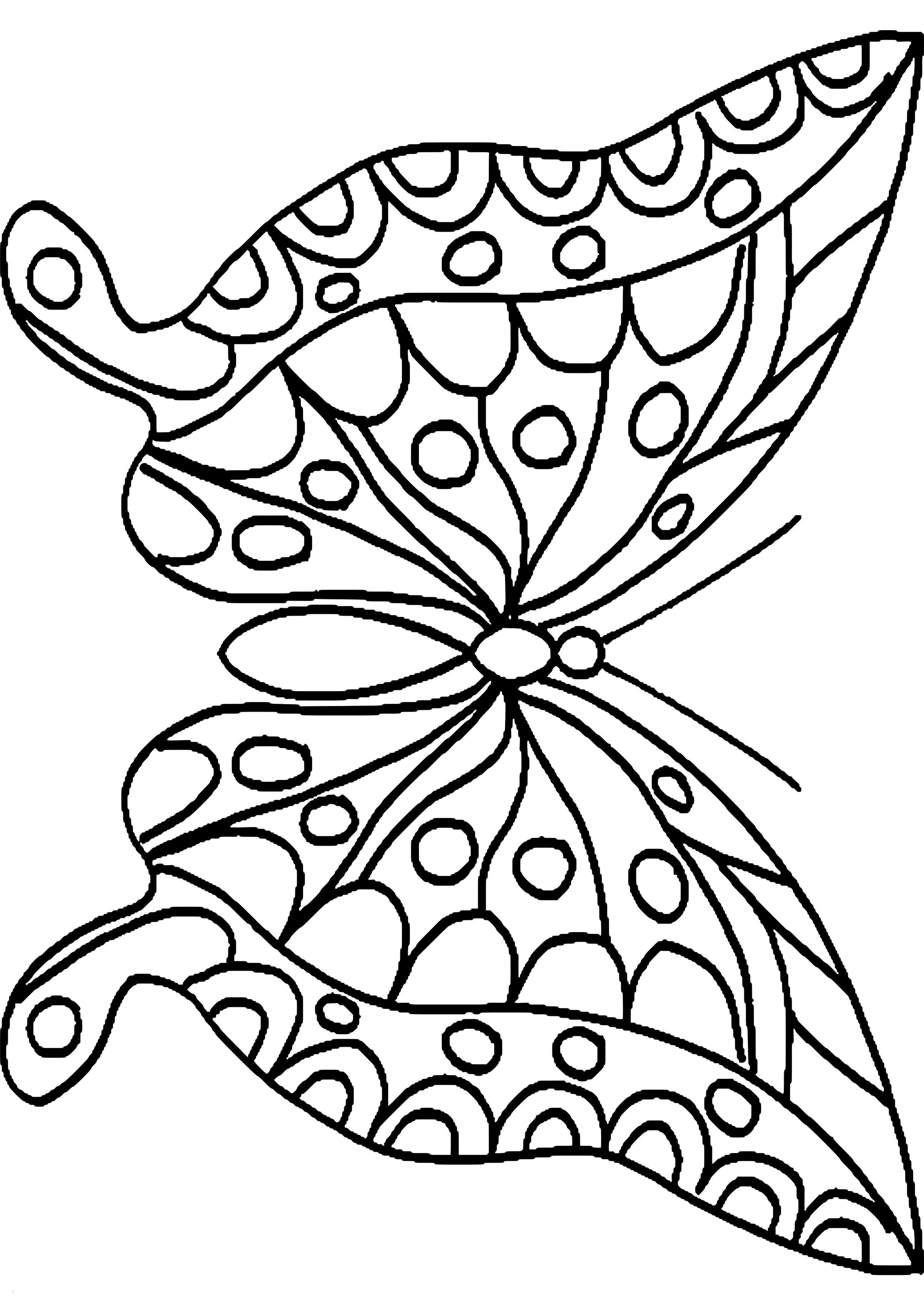 Schmetterling Mit Blume Zum Ausmalen Einzigartig Malvorlagen Blumen Und