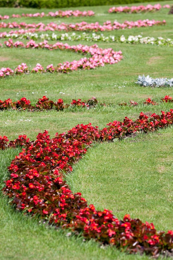 Flowers in Schonbrunn Park, Vienna. Stock Image - Image of formal