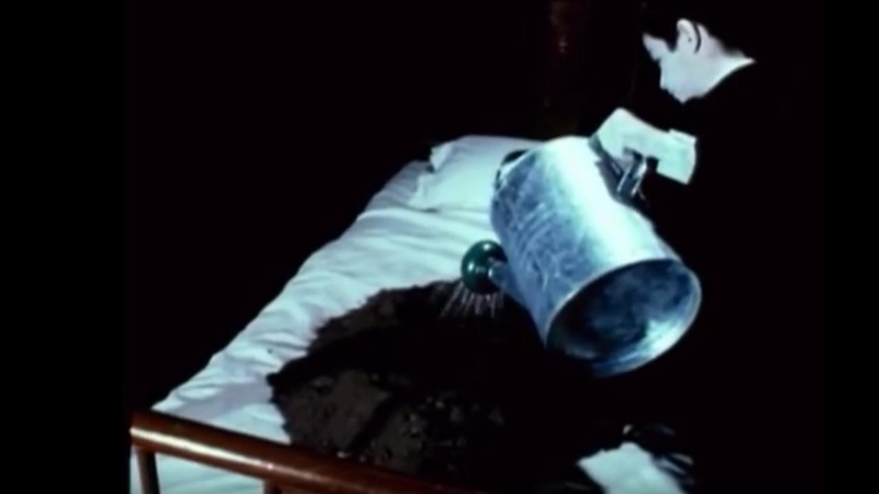 The Short Films of David Lynch (The David Lynch Short Film Collection