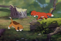 tod and copper go swimming