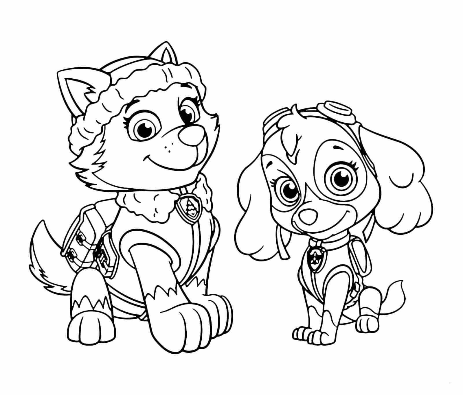 paw partol coloring page