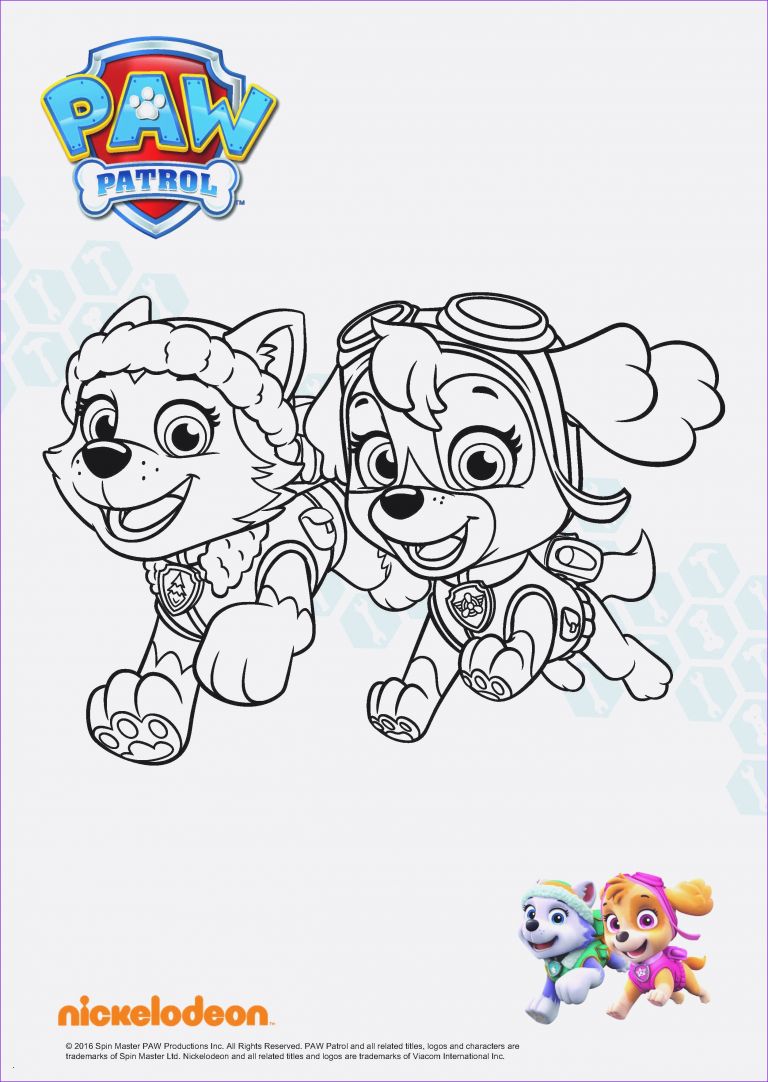 Paw Patrol Zum Ausmalen Neu Paw Patrol Rocky Ausmalbilder Uploadertalk