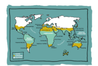landwirtschaft in den tropen