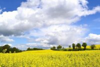 warum ist die landwirtschaft so wichtig