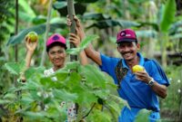 landwirtschaft live net kamen