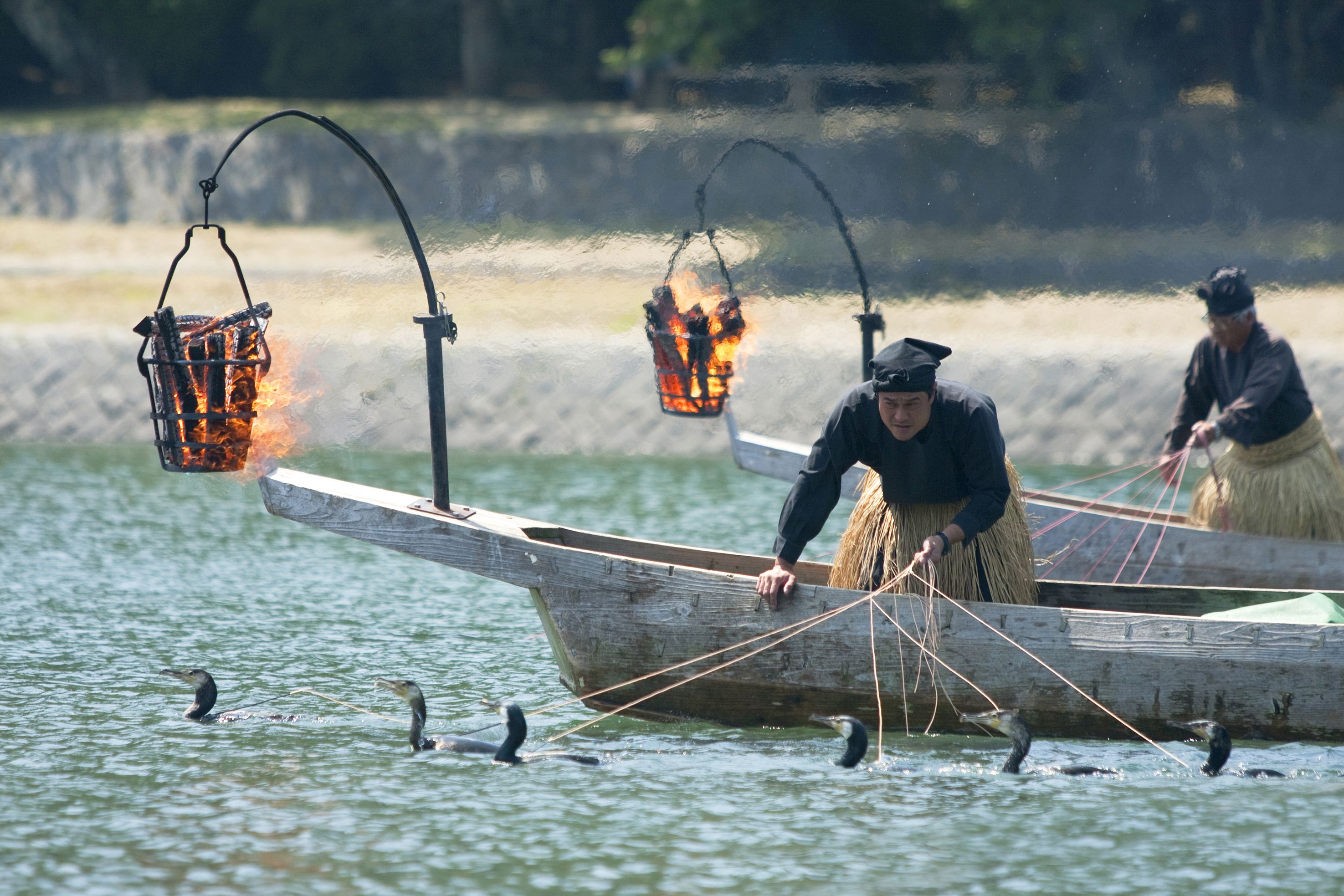 Ukai ~ a traditional method of catching small Japanese trout by