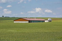 4 stilllegung landwirtschaft 2024 österreich