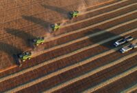 landwirtschaft russland