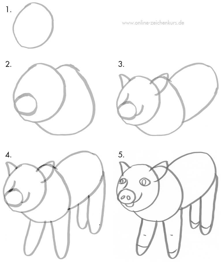  Schweine zeichnen - Anleitung für Kinder und Einsteiger Illustration 