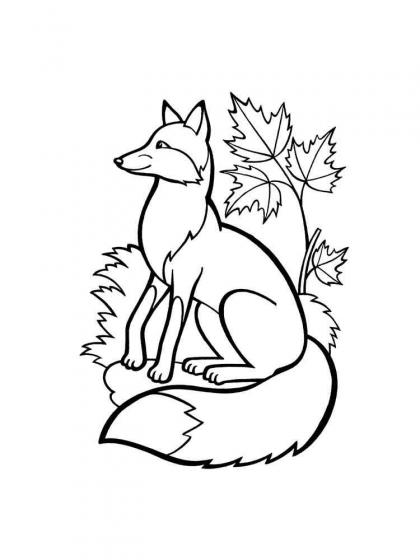  Foto zu Ausmalbilder Waldtiere - Kostenlose Malvorlagen 