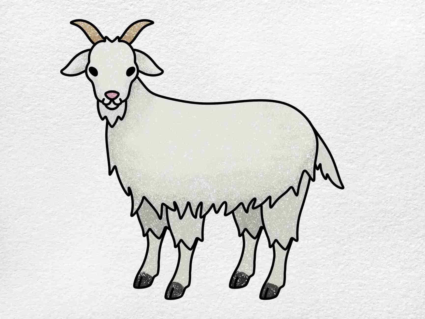  How to Draw a Goat - HelloArtsy 