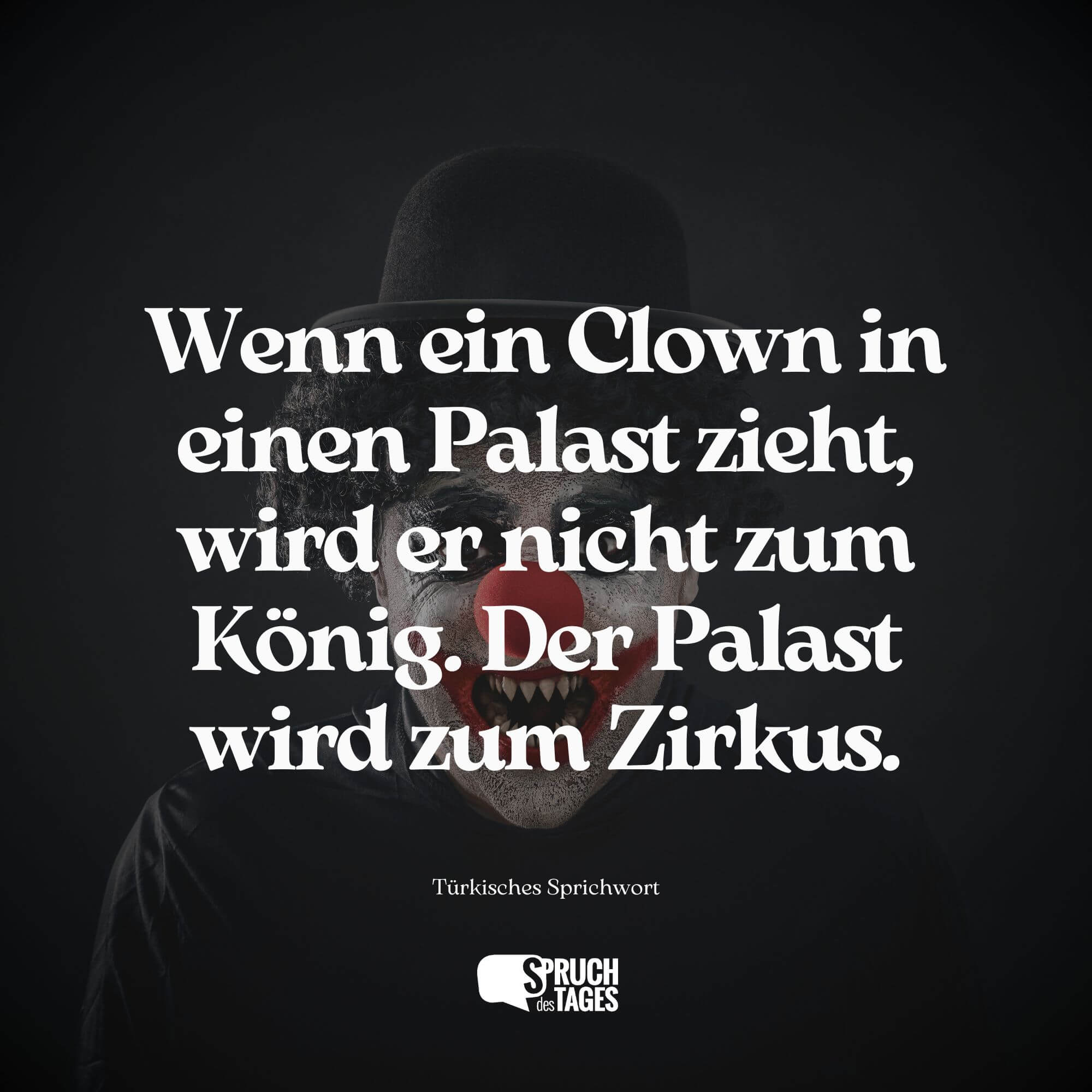  Foto zu Zirkus Sprüche « die besten Sprüche 