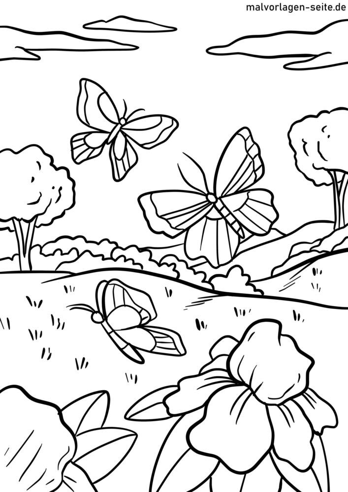 Malvorlage Frühling Schmetterlinge | Ausmalbild kostenlos herunterladen