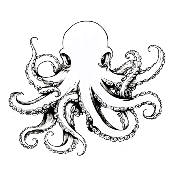  "Krake" Ausmalbild - kostenlos herunterladen Bildidee 