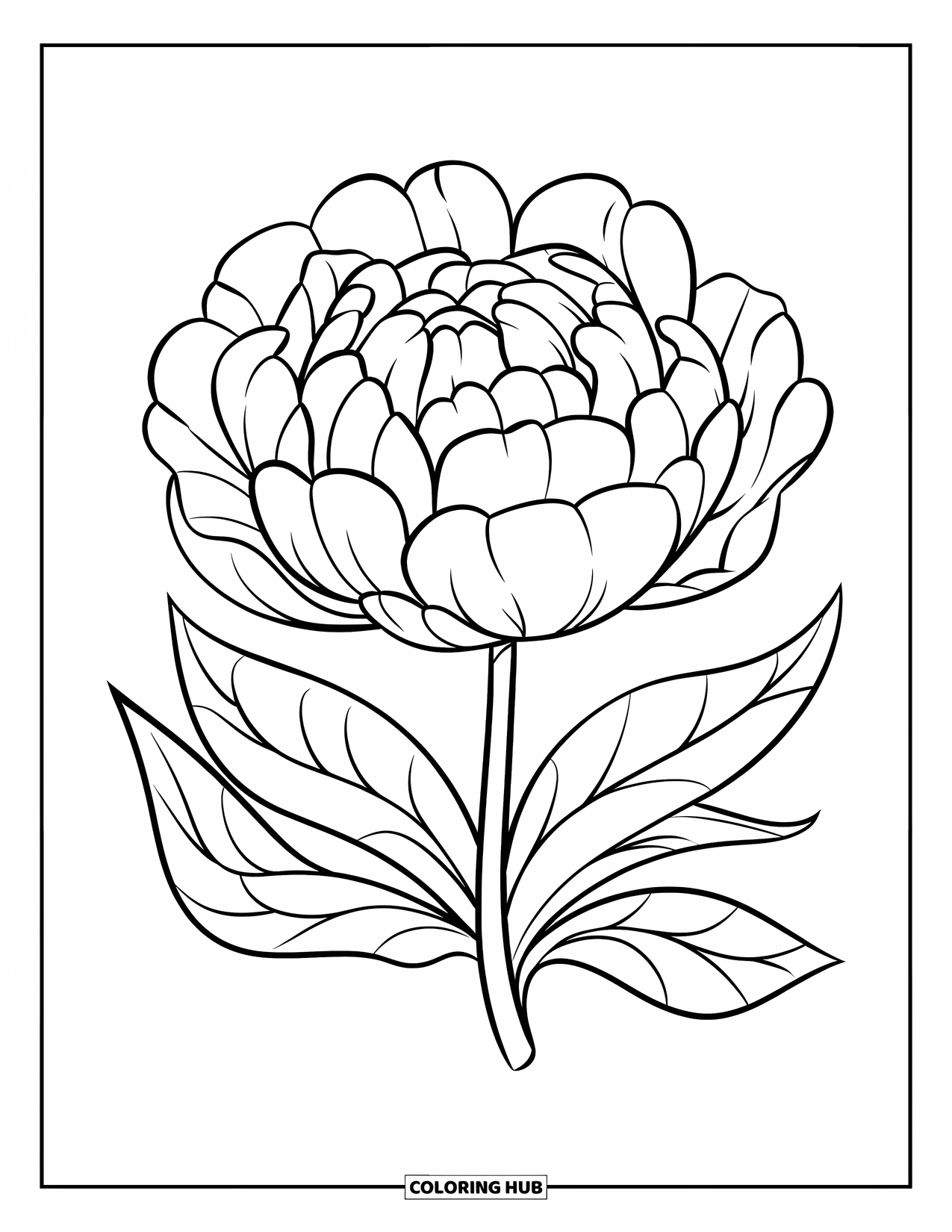  Foto zu 180+ Blumen Ausmalbilder für Kinder & Erwachsene (Kostenlose PDFs zum 