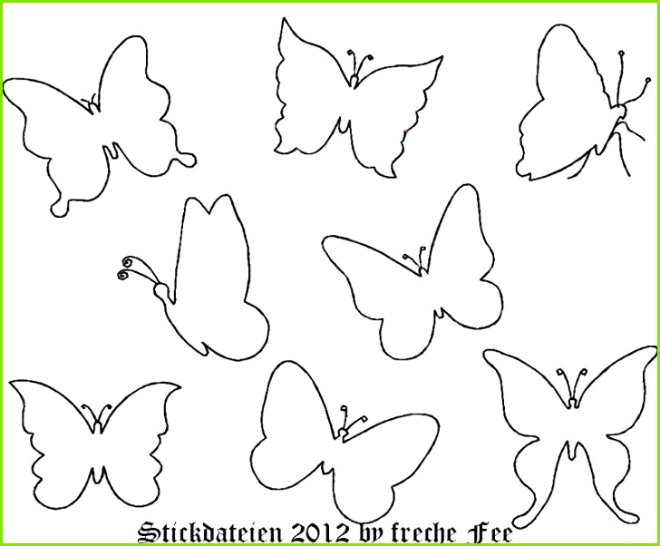  Foto zu 6 Schmetterling Vorlage Pdf - MelTemplates - MelTemplates 