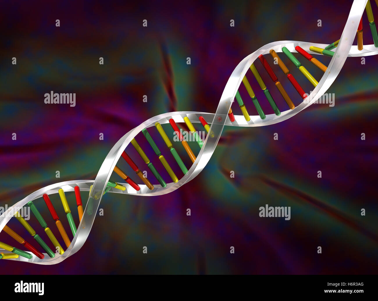  Zellen biologie -Fotos und -Bildmaterial in hoher Auflösung – Alamy 