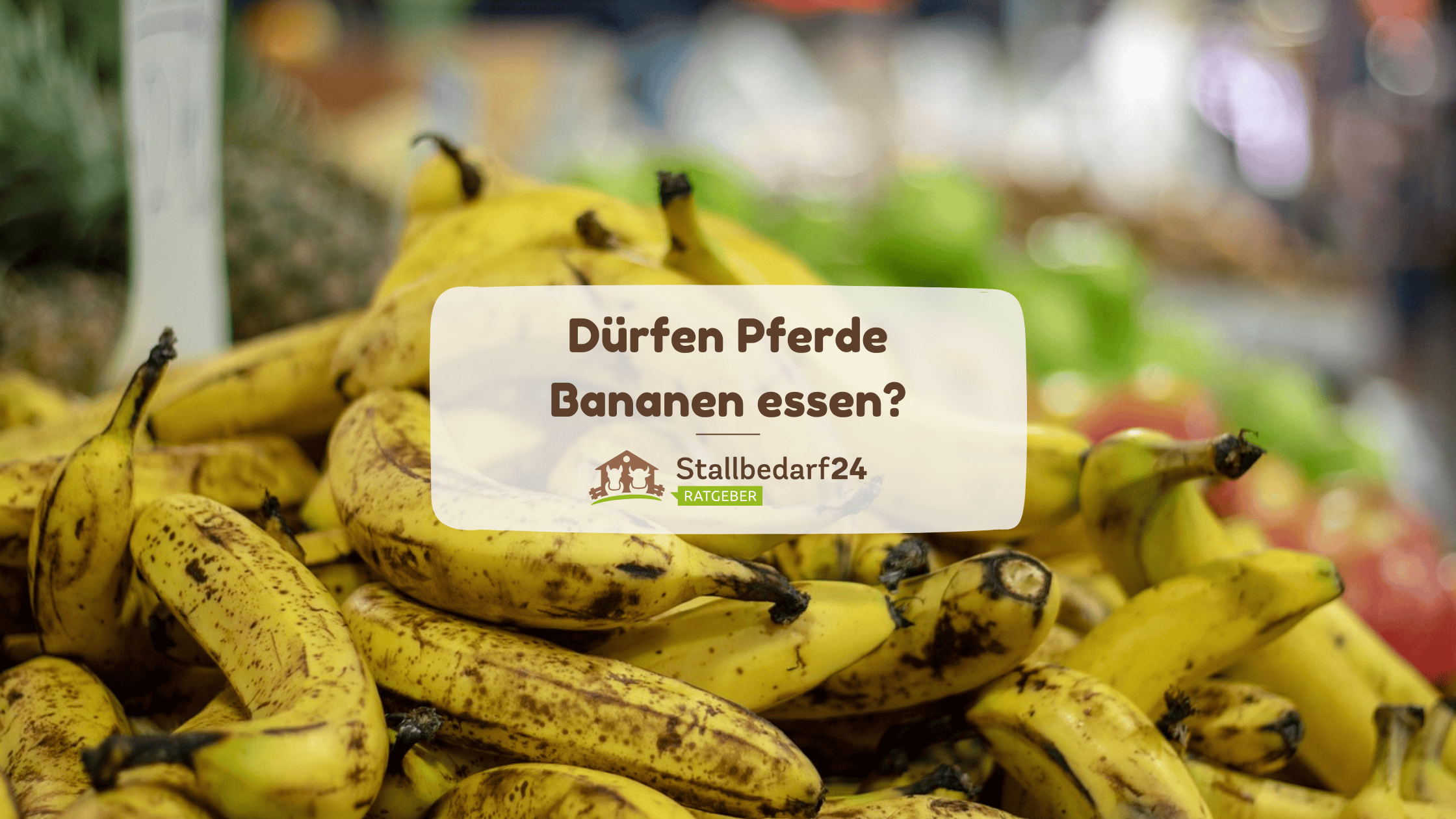  Dürfen Pferde Bananen essen? 